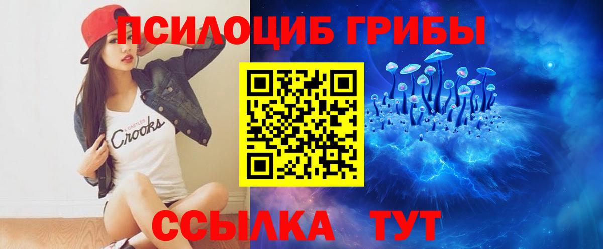 Лосино-Петровский  Галлюциногенные грибы Cubensis  Вход с VPN 