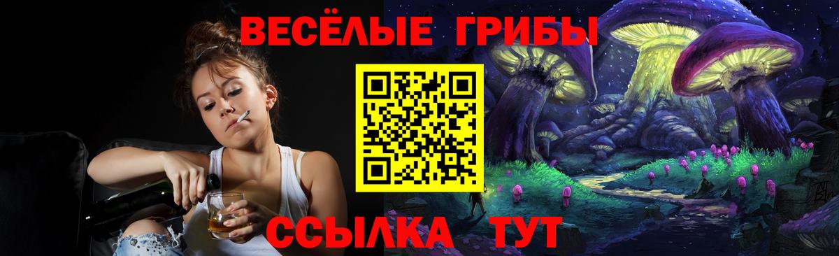 Псилоцибиновые грибы Psilocybe Лосино-Петровский